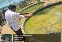 Industrial visit to Ornamental fish farm at Kadachenendhal, Madurai