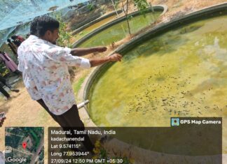 Industrial visit to Ornamental fish farm at Kadachenendhal, Madurai